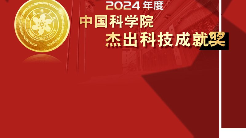 数据可视化：让复杂数据一目了然的魔法